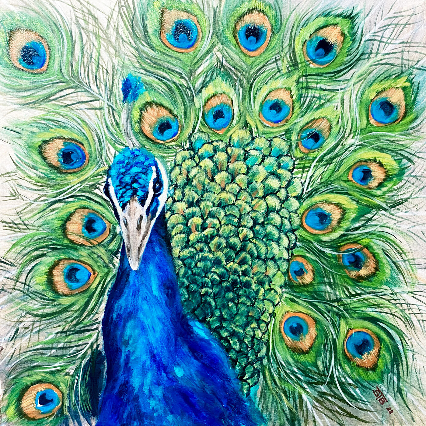 Mr-Peacock_1200