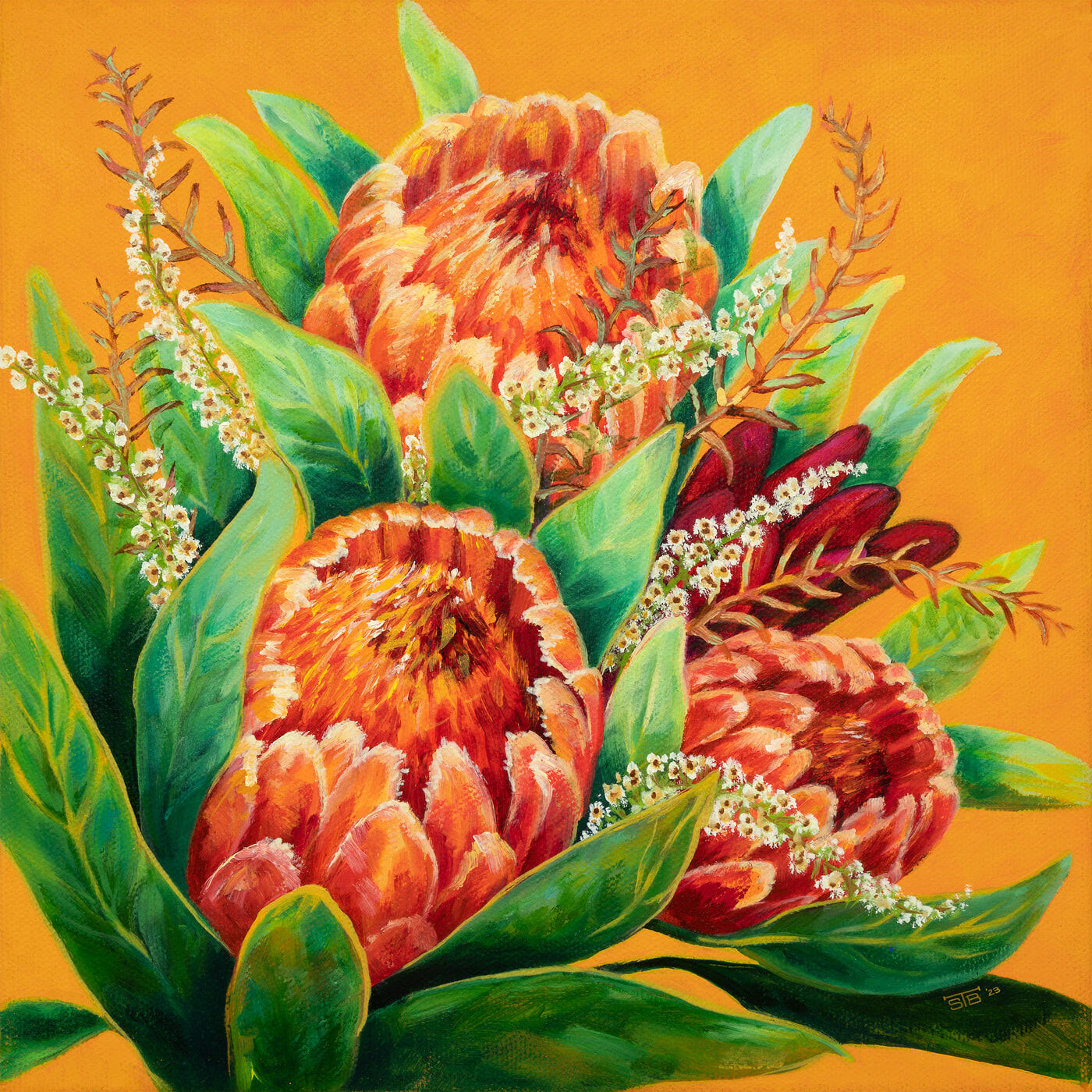 Sweet-Tangerine-Proteas